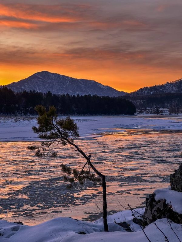 ������� �������� �������� �������