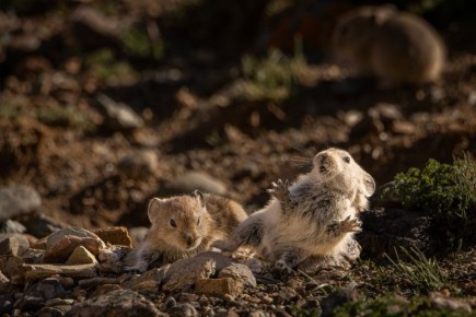 - ����� �����������?!! ������ � ����!!