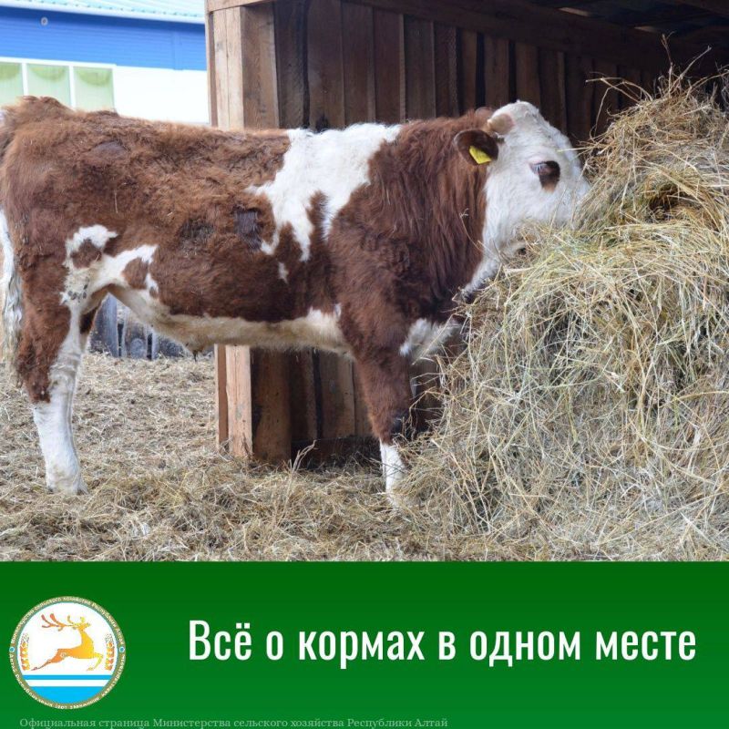 ������� � ����������� ���������� �����!