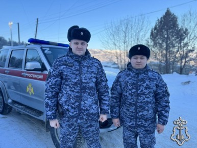 ������� ������ �� ����� �����-��������: ������������ ������ ���������� �������� ���������