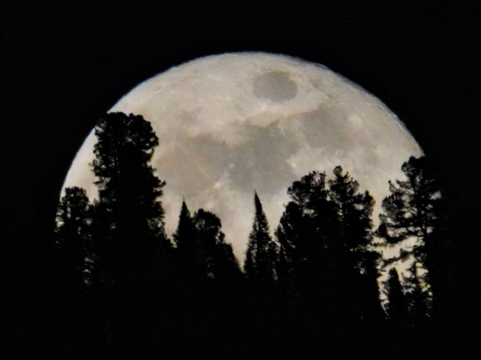 ����� �� ��������� ������� ��������� ����������