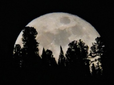 ����� �� ��������� ������� ��������� ����������