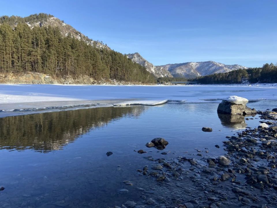 #���������������. �������