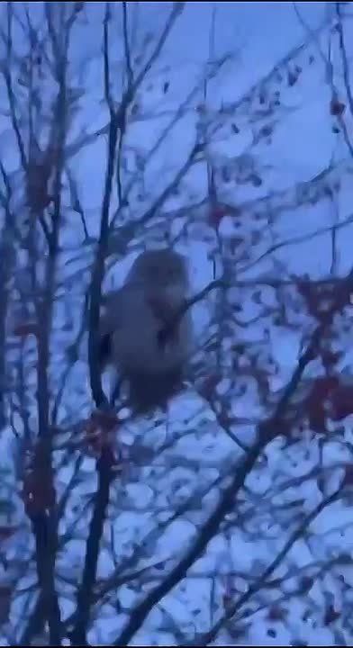 ��� ����� ��������� �������� � ������ � ������������ ����� � �������� �������