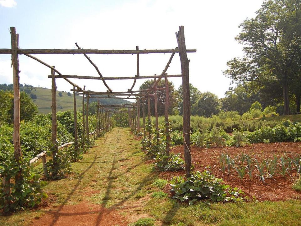 ����������� ������, ������� ������� �� ����� � ������