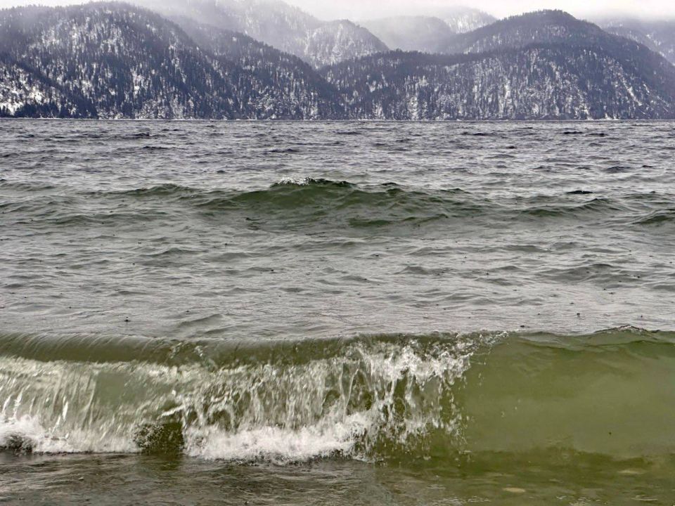 �� �������� ����� ����� ������ ����������� �����