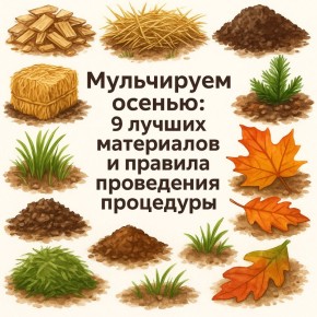 ��� ��������� ������������ ������: ������ � �������