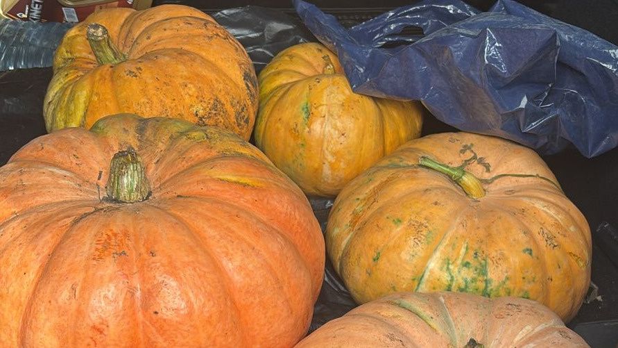 ��� ��������� ������ ����� �� �����: ������ ��������