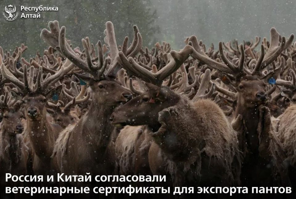 ����� ������������� ���������� ��������� � ����������� � �����������-���������� ����������� � ������� ������ ����� ������ � ����� ����������� ����������� ������������ �����������