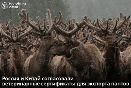 ����� ������������� ���������� ��������� � ����������� � �����������-���������� ����������� � ������� ������ ����� ������ � ����� ����������� ����������� ������������ �����������