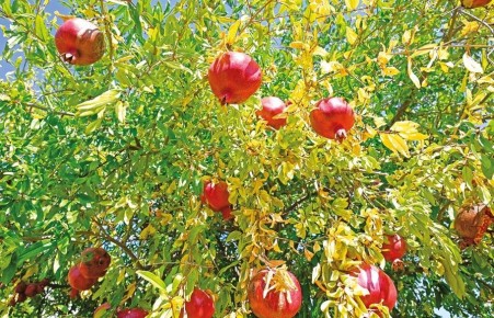 ������: ��������, ������� ��������� ������ � ������������ ������� ��������