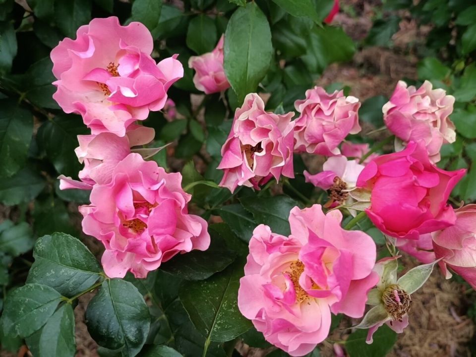 ���������� ��� � ����: ������ ���� ��� �������� �������