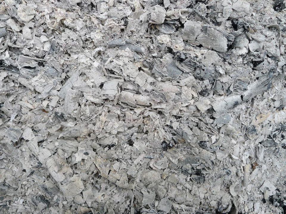 ��� ��������� ���� ����� ������� ���������: �������� ������ ��� ���������