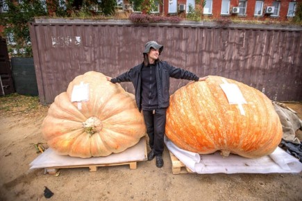 ��� ��������� �����-������� �� ����� ����: ������� �������� ��������