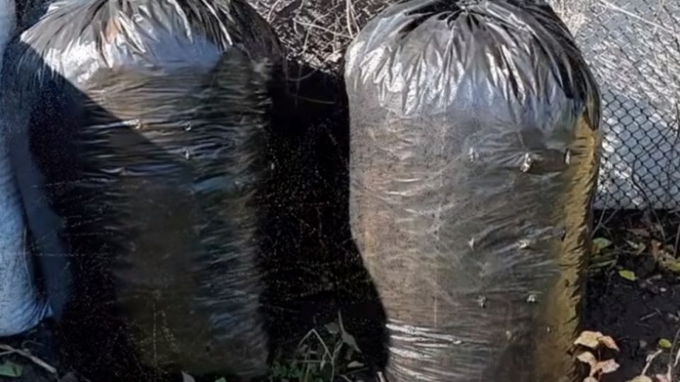 Компост в мешках: как создать эффективное удобрение всего за полгода