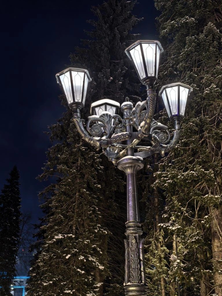 Зима в объективе: у каждого своя Зима в объективе: у каждого своя