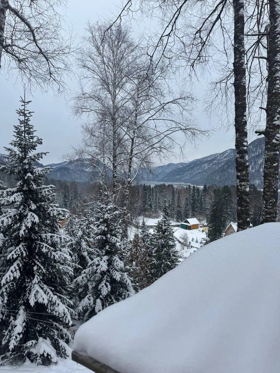 Зима в объективе: у каждого своя Зима в объективе: у каждого своя