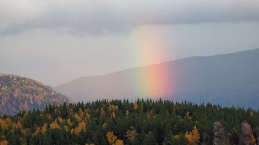 �������� �� ��� �������� $218 ���������� ��������� ���������� ����������� ��������