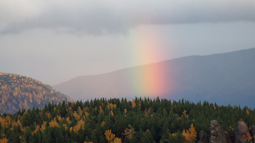 Компании за год получили $218 миллиардов благодаря стратегиям устойчивого развития