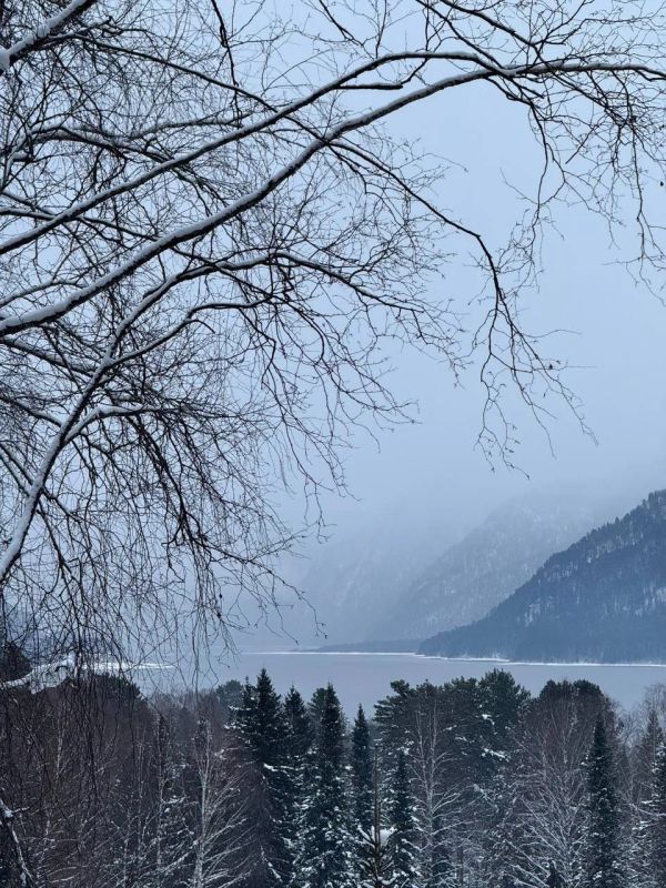 ���� � ���������: � ������� ����