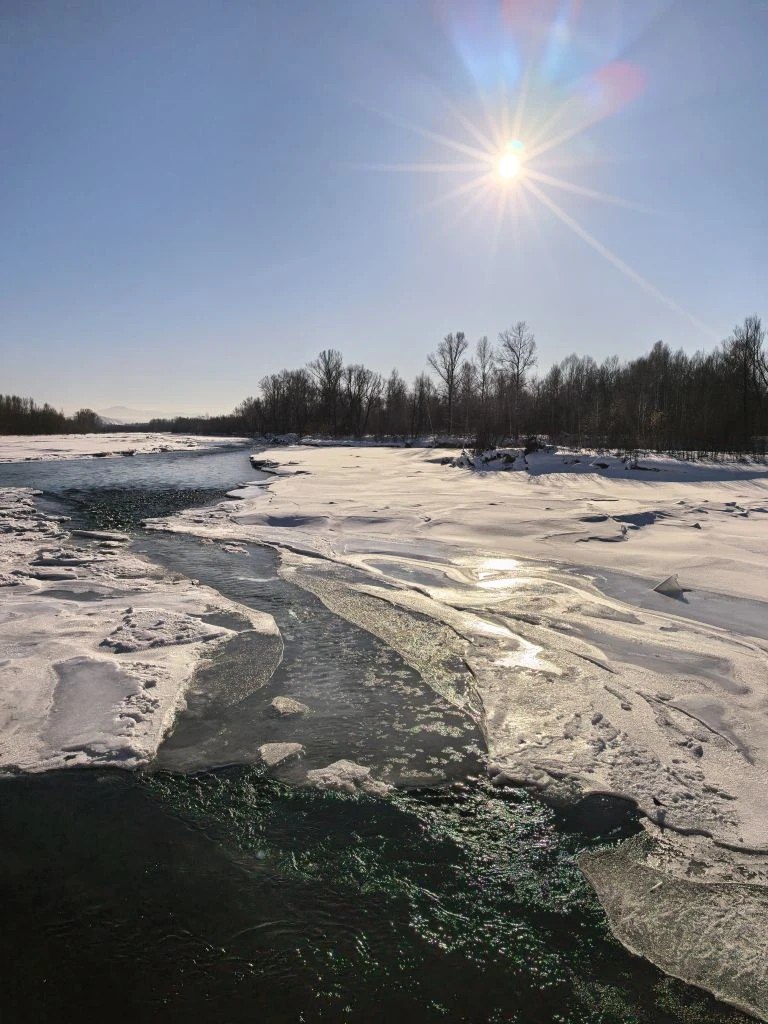 Зима в объективе: у каждого своя Зима в объективе: у каждого своя