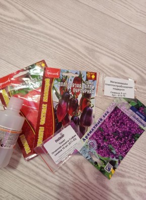 Эффективность замачивания семян в хлоргексидине: что нужно знать