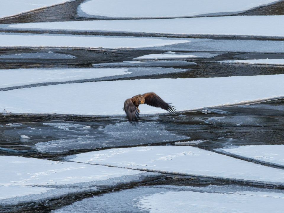 �������� �� �������� ����� �����-��������� ���������� ��������� ������ ��� �������� ��� ������ � ����