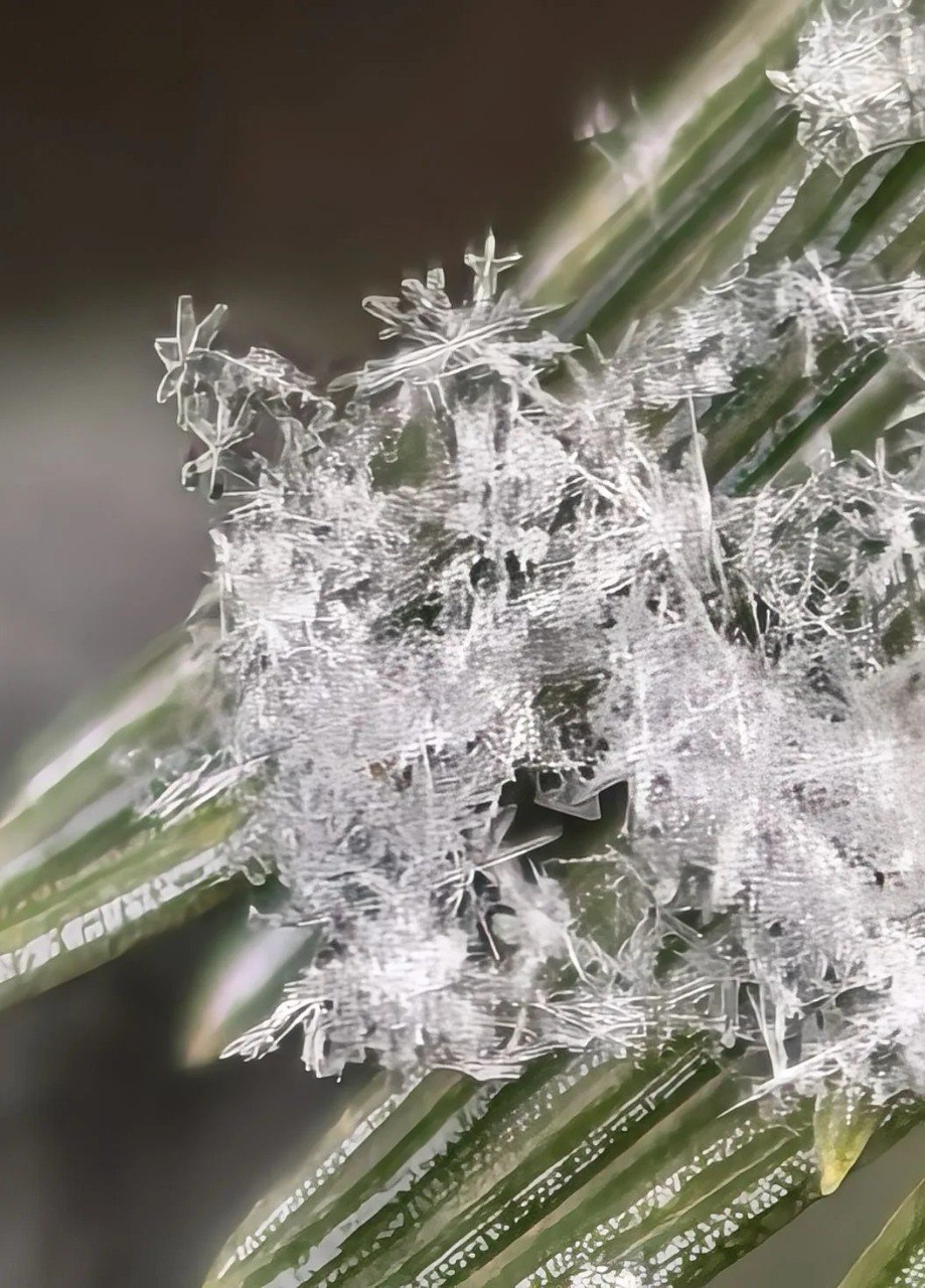 Зима в объективе: у каждого своя Зима в объективе: у каждого своя