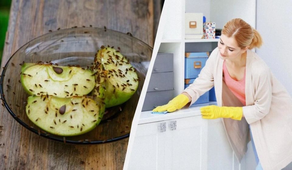 ������� �������� �����: ������� � ��������� ������, �������� �� �� �������