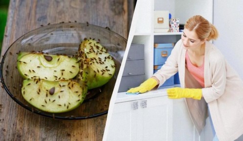 ������� �������� �����: ������� � ��������� ������, �������� �� �� �������