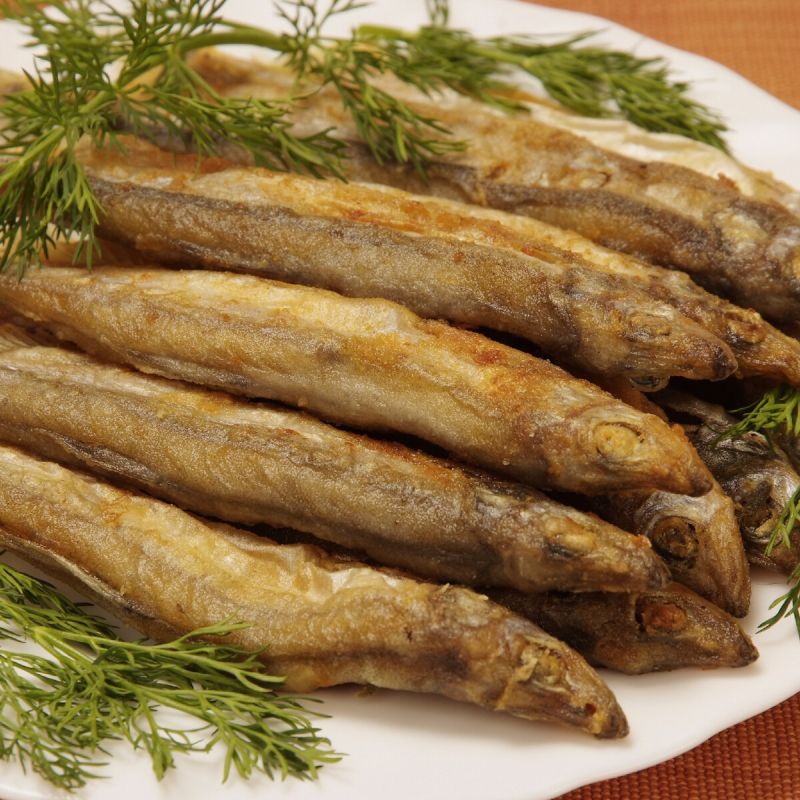 ��������� �����: ������ ��������� ������ ����