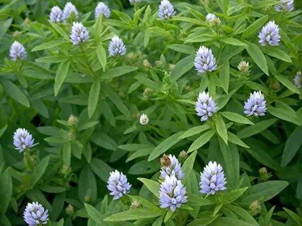 �� �������� �� ����������� ������: ��������� ����������� ���������