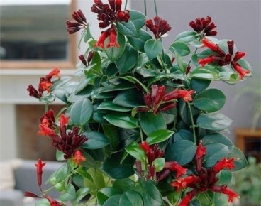 ����������: ����� ������� �������� �� ����� �����������