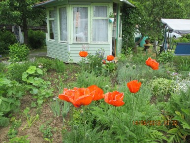 ����� ������� ��� ����: ���� ��������� �������