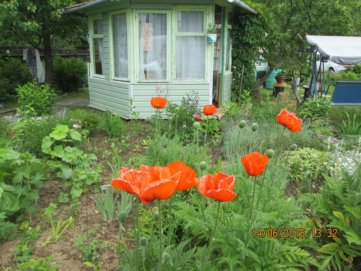 Новое дыхание для дачи: ваша идеальная беседка