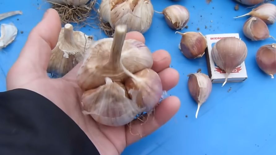 ��� ������� ������� ��� �������� ������ ������� �������