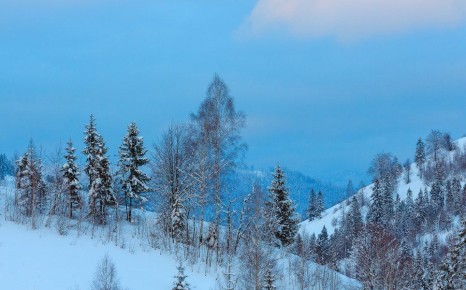 � ��������� ��� ��������� ������������ � ���������� ����� ������ ������������ ������