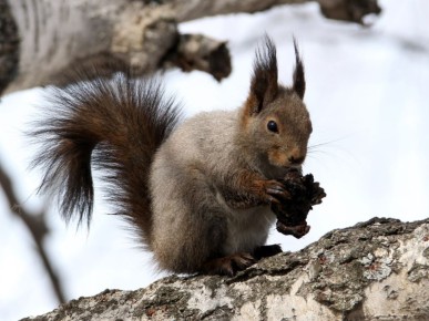 ����� ��������� �����.. � �� �����, ��� �����, ����� �������� ������� ������ ���: