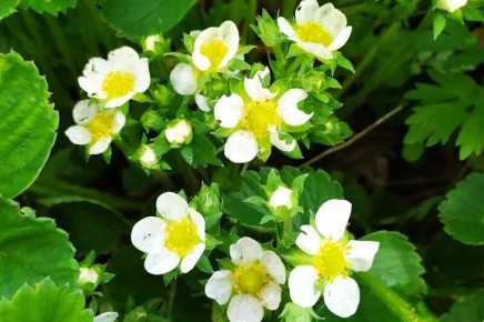 ����� �������� ��������� � �������� ������: �������� �������