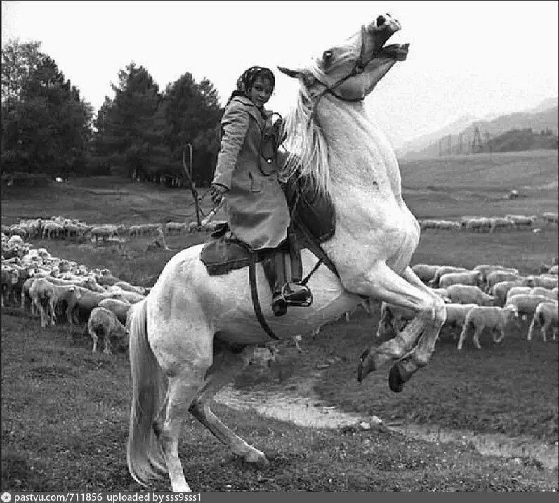 ��� ����� ������������ �������