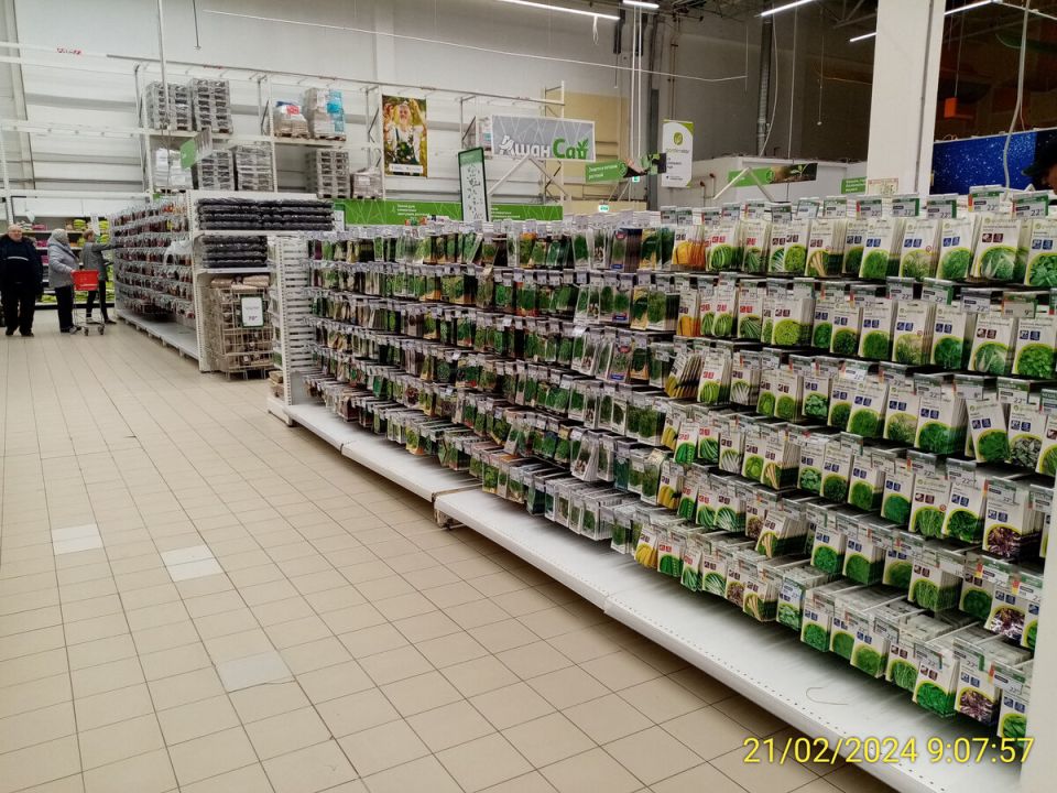 ��������� ���������: ��� ���� � ��� �������� ���������