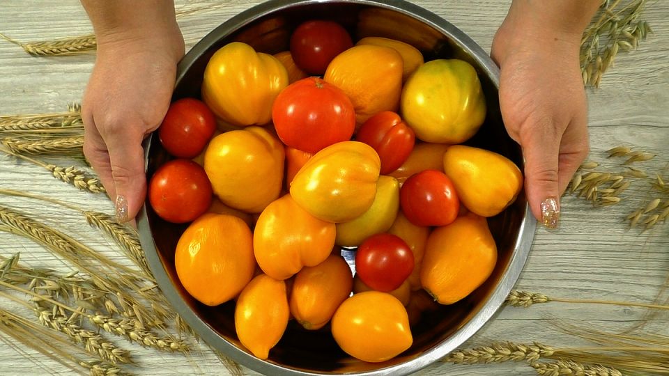 �������� �� ���� ��� ������ ������: ��������� ������ ��� �������� � �����