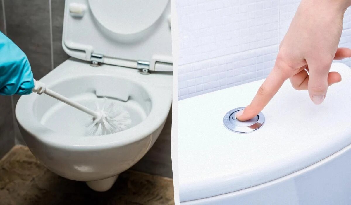 Закрывать или открывать крышку унитаза при смыве: что говорят эксперты?