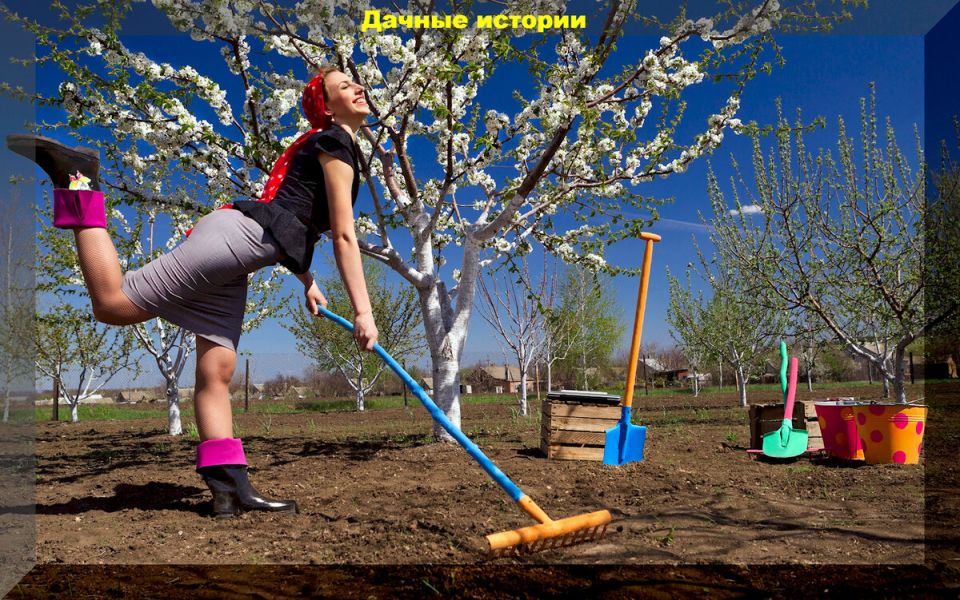 ����������� �������� ��� ���������: ��� ������� ���� ������� � �����������