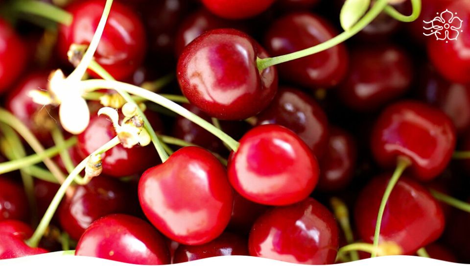 ������������ �������: ����������� ����� ��� �������� ���������