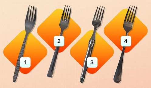 ��� ��� ����� ����� ����� �������� ���� �������� ������