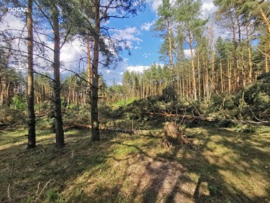 ������ ������� ����: ��� ������ ������������ � �������� �������