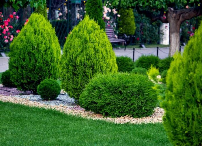 Как создать идеальный английский загородный сад: советы от экспертов