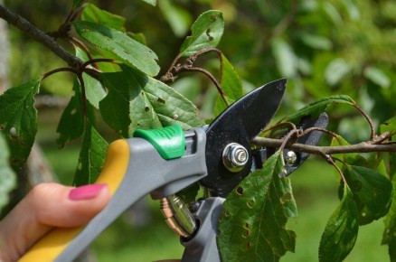 ��� ��������� �������� ����� ������: ������ � ������������