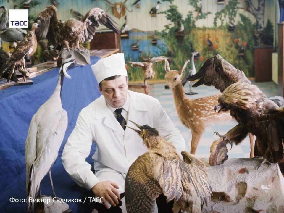 #�����_����_������. �������� ����������� ���� ����� ������� � ����� ������� ������������� ������������ ����� ����� ��������